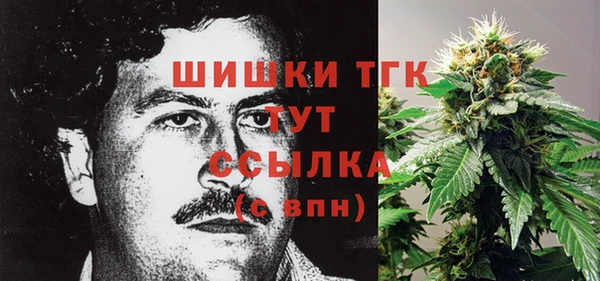 мяу мяу мука Гусев