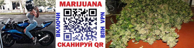 Купить где  Щигры  Конопля Bruce Banner 